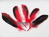 Pírka husí cca 11-16cm, barva červeno černá 