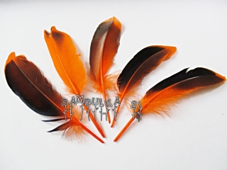 Pírka husí cca 11-16cm, barva oranžovo černá 